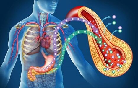 Diaform Plus gibt die Insulinempfindlichkeit zurück